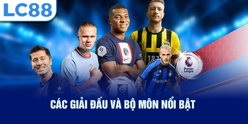 Các giải đấu và bộ môn nổi bật