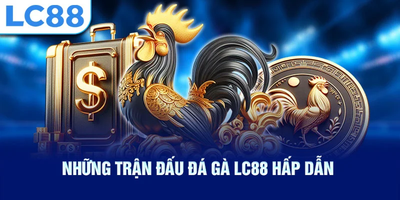 Những trận đấu đá gà lc88 hấp dẫn